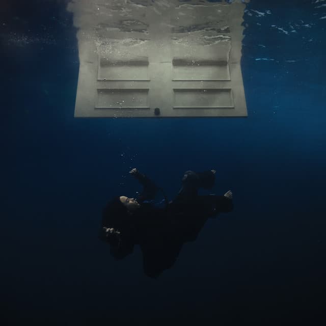 HIT ME HARD AND SOFT cover